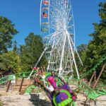 b67dfebf-8f59-4d14-9e2b-cf88116733fa